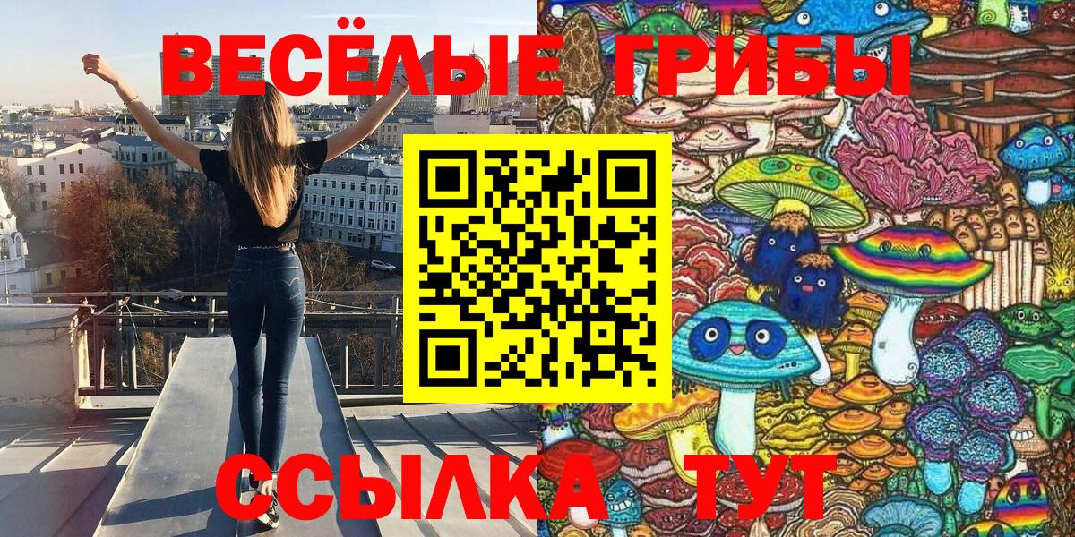 Псилоцибиновые грибы ЛСД Новый Уренгой